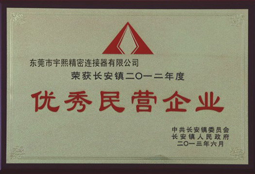 Excellent Private Enterprise