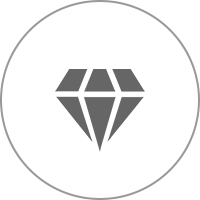 Company Values